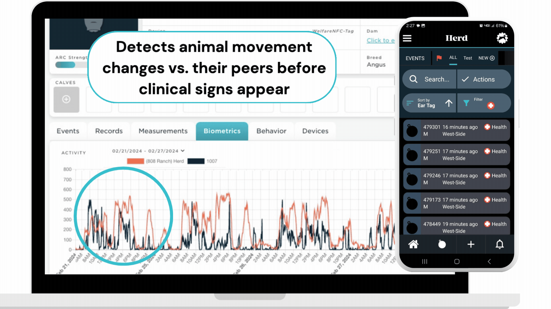 HerdDogg estrus detection dashboard